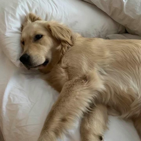 Meet your Posher, Jane - Picture 1 of 1